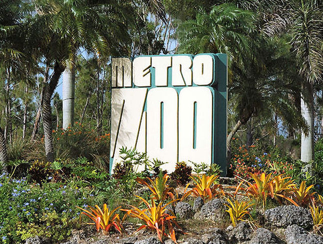 Metro Zoo